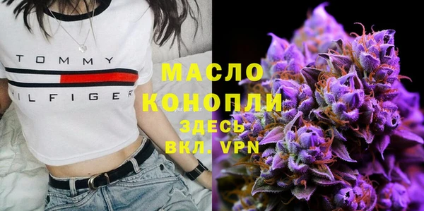 индика Навашино