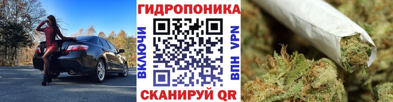 Шишки марихуана индика  Купить закладки  Похвистнево 